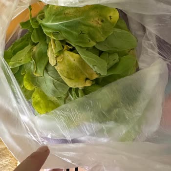 Migros Sanal Markette Çürük Ve Yanlış Sipariş, Uzun Geri Dönüş Bekleyişi