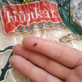 Hünkar Pilavlık Pirinçte Fare Dışkısı Ve Hijyen Skandalı