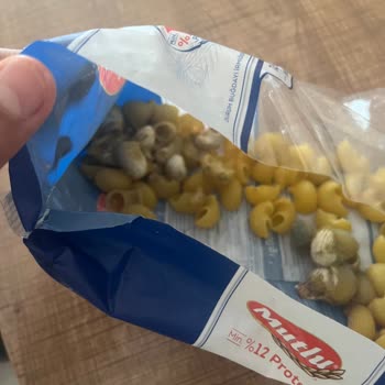 Mutlu Makarna Ürününde Küf Ve Yabancı Madde