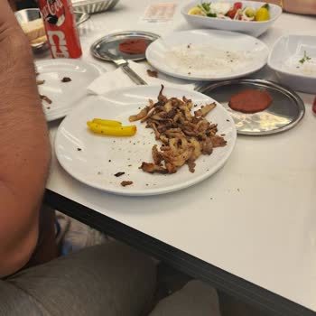 Bursa Mudanya Şubesinde Döner Tabağının Yarısı Yağ Olarak Sunulması Ve Ücret İadesi Talebi