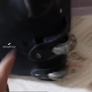 Aras Turizm Bir An Önce Gereken Önlemler Alınsın!