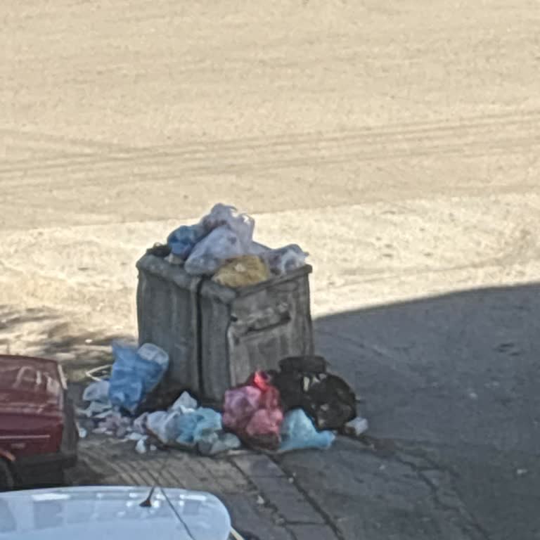 Karapürçek Mahallesi 293. Sokakta Çöp Konteyneri Yetersizliği Ve Sağlık Riski