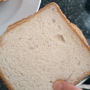 Böcekli Ekmeğe Karşı İade Ve Kaşar Peyniri Telafi Talebi