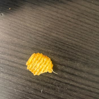 Ruffles Biftek Aromalı Cips Paketi İçinde Kıl Bulunması Gıda Güvenliği Endişesi