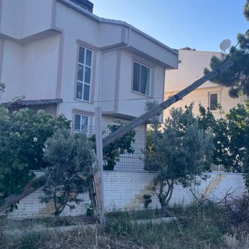 Şarköy Mahallesindeki Türk Telekom Direği Sarkan Kablolar Çocukları Tehdit Ediyor