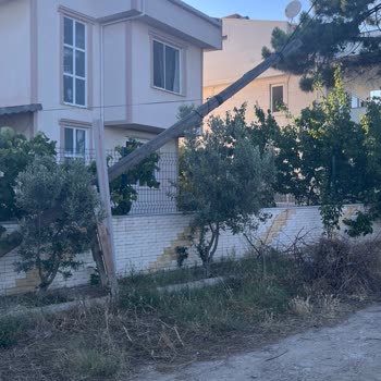 Şarköy Mahallesindeki Türk Telekom Direği Sarkan Kablolar Çocukları Tehdit Ediyor