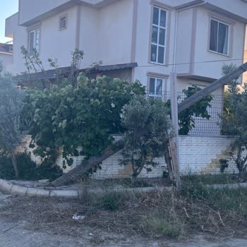 Şarköy Mahallesindeki Türk Telekom Direği Sarkan Kablolar Çocukları Tehdit Ediyor