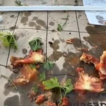 Pidem Restaurant Lahmacun Değil Yağlı Salçalı Ekmek Resmen