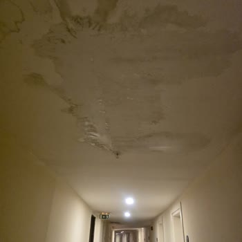 Hijyen Yok, Elektrik Kırık, Havuz Kapalı: Otel Bakım Muhtac