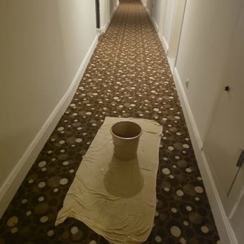 Hijyen Yok, Elektrik Kırık, Havuz Kapalı: Otel Bakım Muhtac