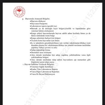 Ajet’in Yanıltıcı Bilgilendirmesi Ve Havalimanı Personelinin Çözüm Sunmaması Kedim Kabul Edilmedi