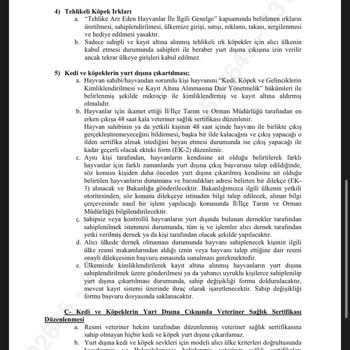 Ajet’in Yanıltıcı Bilgilendirmesi Ve Havalimanı Personelinin Çözüm Sunmaması Kedim Kabul Edilmedi