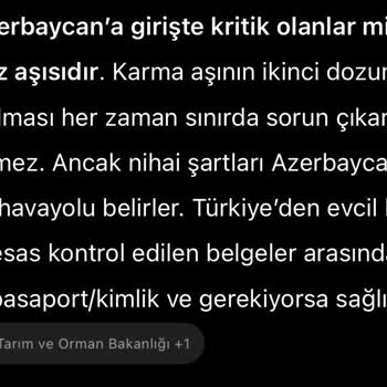 Ajet’in Yanıltıcı Bilgilendirmesi Ve Havalimanı Personelinin Çözüm Sunmaması Kedim Kabul Edilmedi
