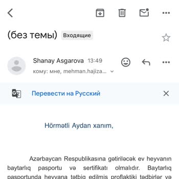 Ajet’in Yanıltıcı Bilgilendirmesi Ve Havalimanı Personelinin Çözüm Sunmaması Kedim Kabul Edilmedi