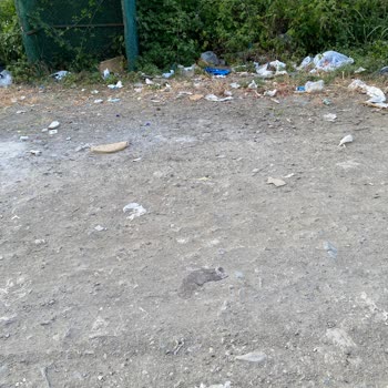 Atakum’da Bozuk Yol Ve Çöp Kokusu Sorunu