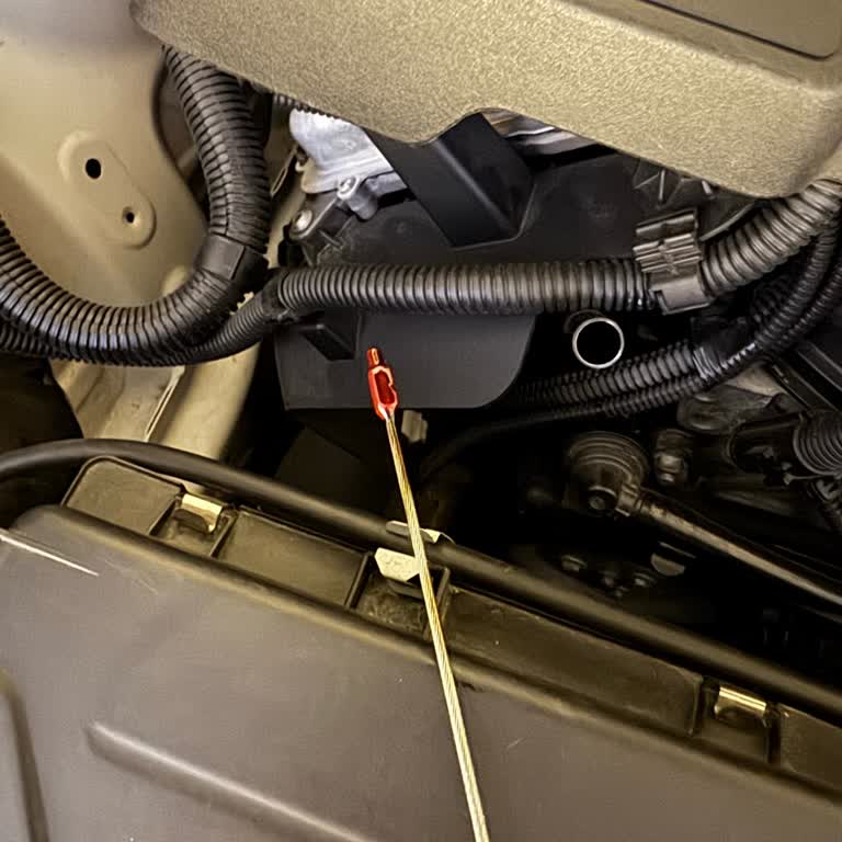 BMW 316i Yağ Ölçme Çubuğu Kırık Ücretsiz Değişim Ve Motor Kontrolü Talebi