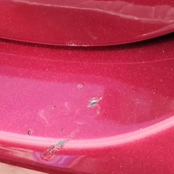 Honda City Servis Sonrası Arka Tampon Çiziklerine İtiraz