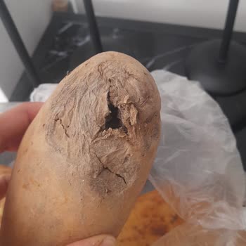 A101 Kapıda Çürük Yumurta Ve Patates Şikayeti: İade Ve Müşteri Hizmetleri İlgisizliği