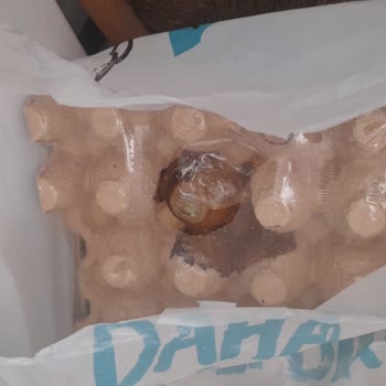 A101 Kapıda Çürük Yumurta Ve Patates Şikayeti: İade Ve Müşteri Hizmetleri İlgisizliği