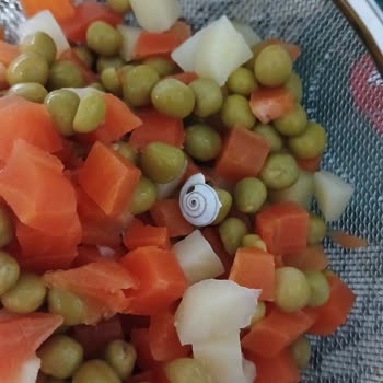A101 Çokça Dondurulmuş Garnitürde Salyangoz