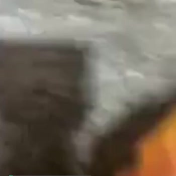 A101'den Aldığım Nimet Ürünün Hali