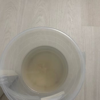 Evin Temizliği Ne İyi Yapılmış Ne de Tamdı