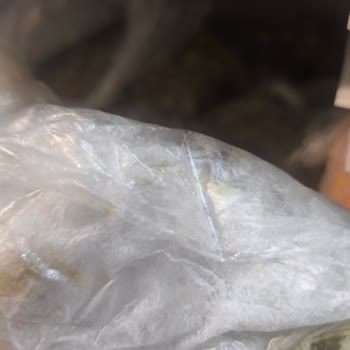 Buzlukta Aşırı Donma Ve Kötü Koku Nedeniyle Yiyecekler Çabuk Bozuluyor