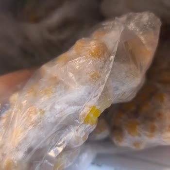 Buzlukta Aşırı Donma Ve Kötü Koku Nedeniyle Yiyecekler Çabuk Bozuluyor