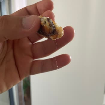 Eti Üründe Yabancı Madde Bulunması Ve Gıda Güvenliği Endişesi