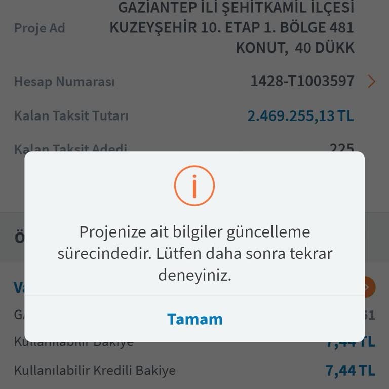 Halkbank'ta TOKİ Borcunun Sistemde Görünmemesi Ve Gecikme Faizi Endişesi