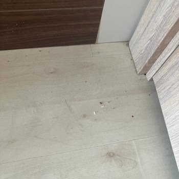 Ana Bina Standart Oda Yerine Fırsat Oda Verilmesi Ve Zorunlu Konaklama