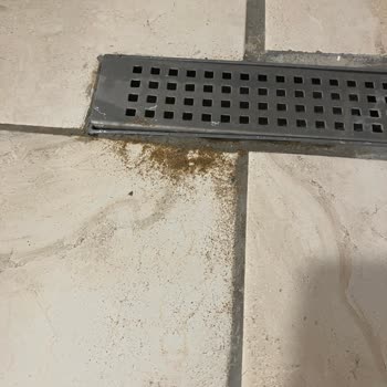 Ana Bina Standart Oda Yerine Fırsat Oda Verilmesi Ve Zorunlu Konaklama