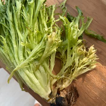 Skycrops Soğuk Zincirle Teslim Etmiyor