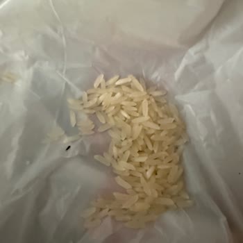 Migros Sanal Market’te Eksik Saç Boyası Ve Böcekli Pirinç İçin Yanıt Alamayan Müşteri Hizmetleri