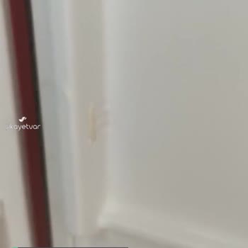 Vestel Buzdolabı Raf Tutucu Tırnak Kırıldı!