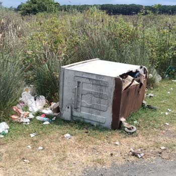 Çamlık Orman Parkı'nda Asfalt Sorunu Yaya ve Araçları Tehlikeye Atıyor