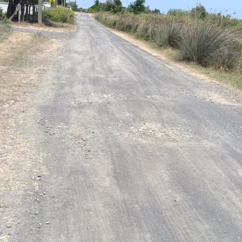 Çamlık Orman Parkı'nda Asfalt Sorunu Yaya ve Araçları Tehlikeye Atıyor