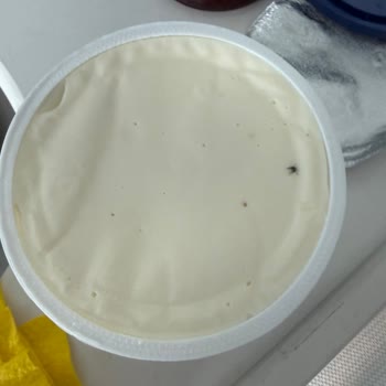 File Market'te Krem Peynirde Sinek: Hijyen İhlali