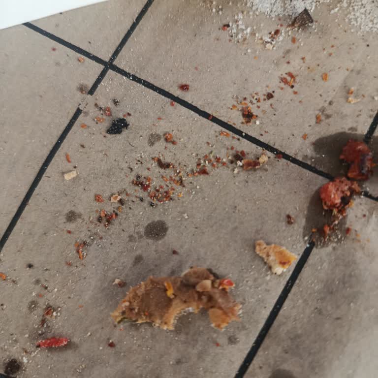 Forum Ankara AVM’de Lahmacun İçinden Çıkan Yabancı Madde Hijyen Sorunu