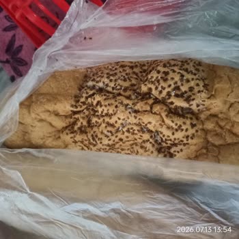 Samsun Büyükşehir Belediyesi Halk Ekmek Fiyatları 14 TL’ye Yükseldi, Kalite Sorunları Büyüyor