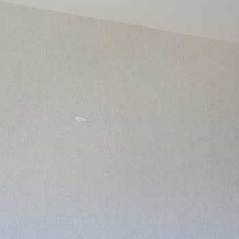 Asansör Yokluğundan Kaynaklanan Taşıma Sırasında Eşya Hasarları