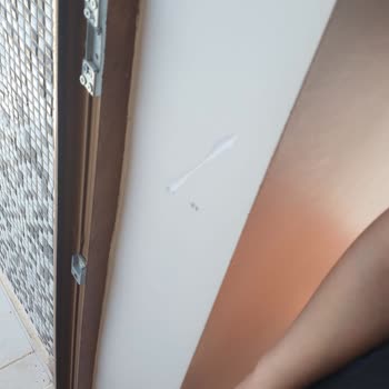Asansör Yokluğundan Kaynaklanan Taşıma Sırasında Eşya Hasarları