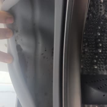 Garanti Kapsamındaki Bosch Çamaşır Makinesi Körük Lastiği Değişim Talebi