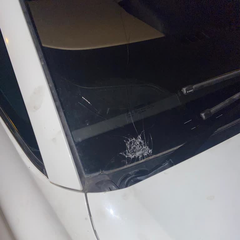 Kaskomda Cam Değişimi Reddi, 98 Bin TL Masrafı
