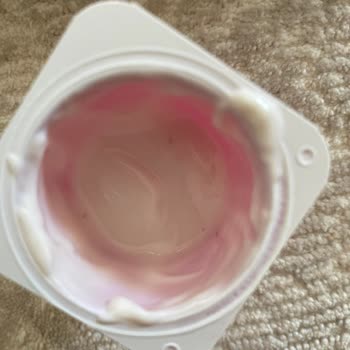Orman Meyveli Danone Ürünün İçinde Siyah Yabancı Parçalar Tespit Edildi
