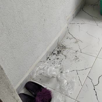 Klimanın Hatalı Montajı Ve Evin Kirlenmesi Nedeniyle Şikayet