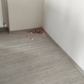 Klimanın Hatalı Montajı Ve Evin Kirlenmesi Nedeniyle Şikayet