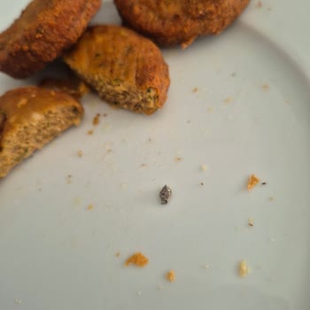 Keskinoğlu Köftesinde Metal Parçası Güvenlik Endişesi