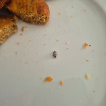 Keskinoğlu Köftesinde Metal Parçası Güvenlik Endişesi