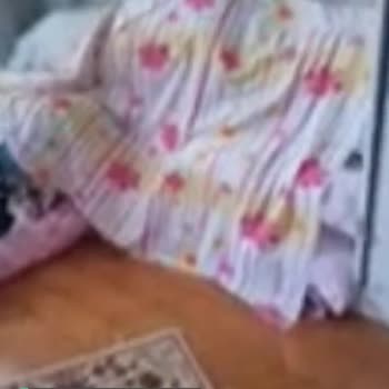 Bambi Yatak Adım, Pişman Oldum!